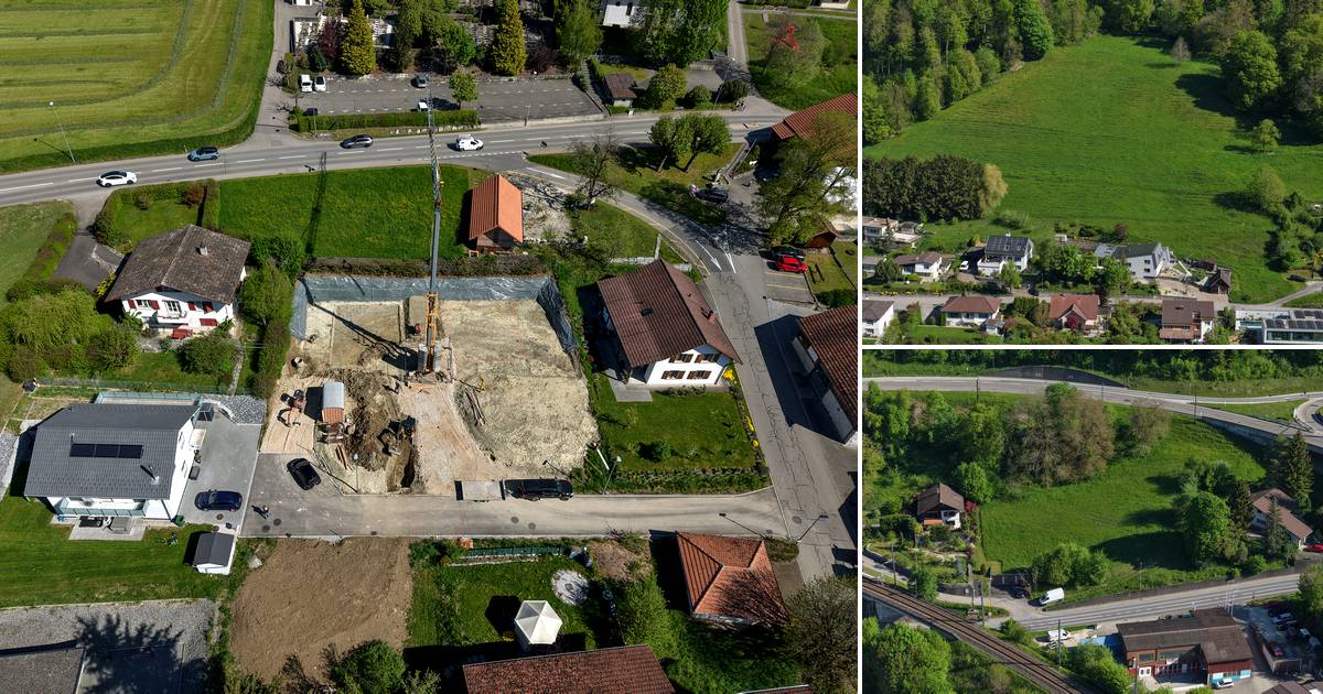 Montage des trois terrains photographiés